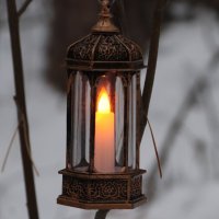 Декабрьским утром :: Любовь Сахарова