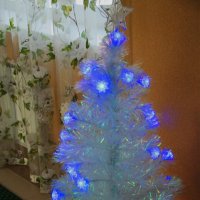 Такие разные ёлки :: Любовь Сахарова