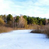 Смоленская область в конце декабря. :: Милешкин Владимир Алексеевич 