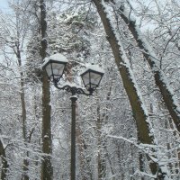 Сегодня праздник у ребят ) :: Галина 