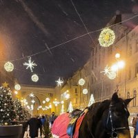 Символ наступающего года. :: Ольга 