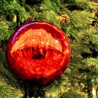 С Новым годом, друзья! :: Александр Силинский