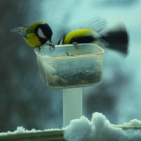 Утро... за ночь намело !.. :: Юрий Куликов Утро... за ночь намело !.. :: Юрий Куликов