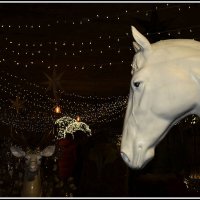 *** :: Aleksandr Gal *** :: Aleksandr Gal