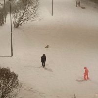 ПЕРВЫЙ СНЕГ :: Виктор Никитенко