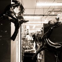 Фотография :: Денис Безногов