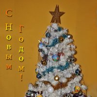С Новым Годом! :: Светлана 