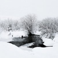 /// :: Константин Есипов