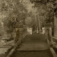 В Гатчинском парке :: Наталья 