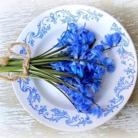 Вот...!!! Прям из под снега! К Новогоднему столу! Кто заказывал? :: TAMARA КАДАНОВА Вот...!!! Прям из под снега! К Новогоднему столу! Кто заказывал? :: TAMARA КАДАНОВА