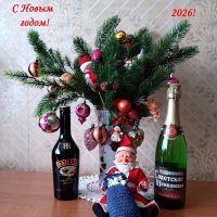 Друзья, с Новым 2026 годом! Всем добра, удачи, люблви! :: Ирина ***