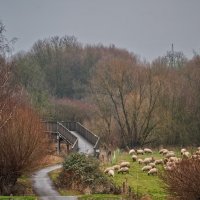 31.12.2025. Шашлык на проулке ... :: Jakob Dick