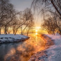 С наступающим новым годом! :: Ирина 