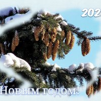 С Новым годом! :: Сергей Б.