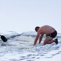 Моржи провожают старый год. :: Милешкин Владимир Алексеевич 