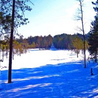 Февраль...Весна света на острове Пим! :: Владимир 