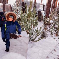 Денис- бегом к маме! :: Владимир 