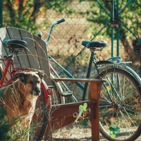 Глубина момента :: Сергей В