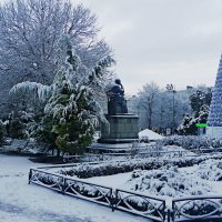 Ёлка в парке  Тренёва в2022  году :: Валентин Семчишин