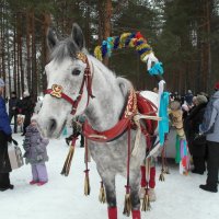 новогоднее катание :: Владимир 