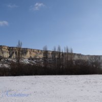 Природа Крыма :: Amazing Cosmea