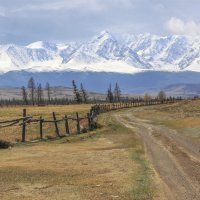 Курайские ландшафты :: елена беликова