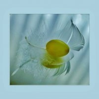 МИГ... :: Elvira E. 