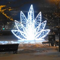 Калининград предновогодний :: Рита Симонова Калининград предновогодний :: Рита Симонова