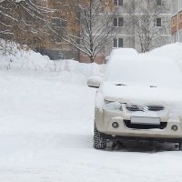 "На прогулке" :: Макс Орлов