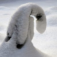 Тяжеловато стало :: Aleksandr Gal