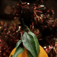 С Новым годом!!! :: Лютый Дровосек