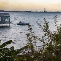 Каспий :: Анатолий Чикчирный