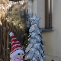 Рассвет января :: Валерий Басыров Рассвет января :: Валерий Басыров