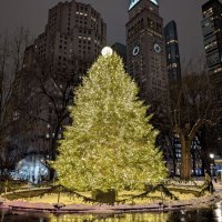 Новогодняя елка :: Юрий Владимирович 34