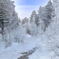 Белоснежная зима :: Vladimbormotov Белоснежная зима :: Vladimbormotov