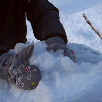 Снег выпал накануне встречи Нового 2026 года :: Татьяна Смоляниченко