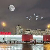 Купчино, Балканская площадь. :: Виктор Орехов Купчино, Балканская площадь. :: Виктор Орехов