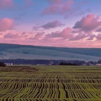 Розовые облака и зелёные волны :: Владимир Кириченко