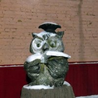 Замёрзла мудрая сова. :: nadyasilyuk Вознюк