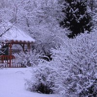 Мой зимний сад :: Людмила Смородинская