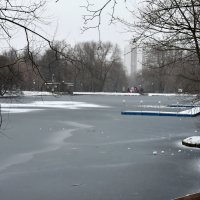 Москва. Воронцовский парк. :: Наташа *****