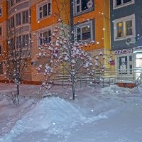 Снежный Новый год :: Валерий Иванович