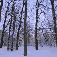 Калининград, 31 декабря :: Рита Симонова