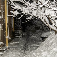 В Новогоднюю ночь прогулка по Армавиру :: Игорь Сикорский