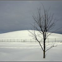 Белое безмолвие :: Aleksandr Gal