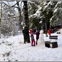 Зимняя радость :: Aleksandr Gal