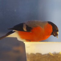 Вчера... :: Юрий Куликов