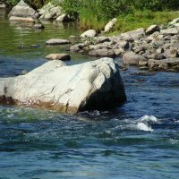 ЯМАЛ :: Tata Wolf