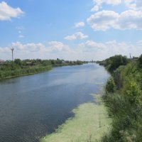 про лето :: Елена Шаламова