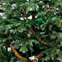 С Новым годом!!! :: Радмир Арсеньев